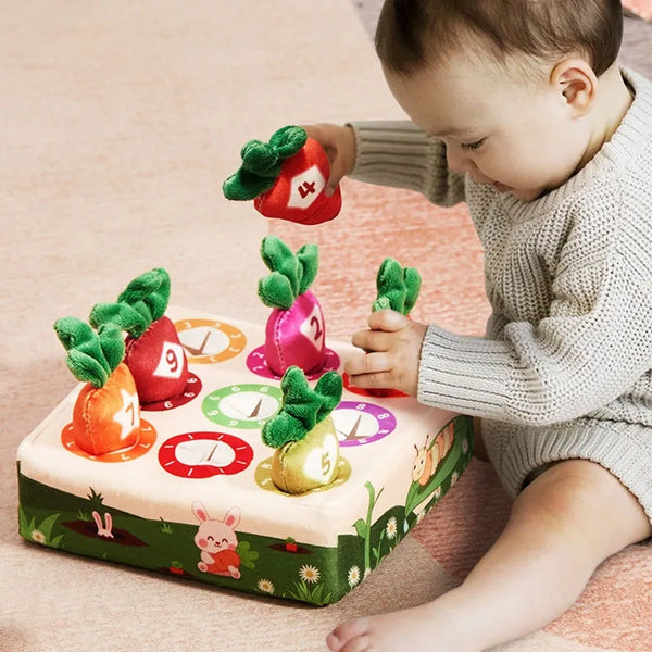 Baby Montessori Toys