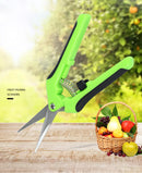 Metal Gardening Scissor