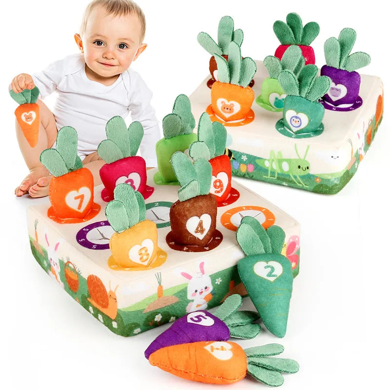 Baby Montessori Toys